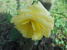 DSCN5807