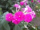 DSCN5792