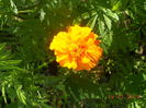 DSCN5812