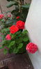 IMG_20140720_114918