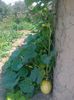 20 iulie 20142233