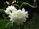DSCN8056