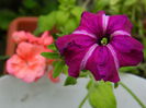 DSCN8057
