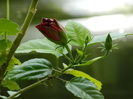 DSCN8079