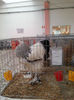 93990324_HGFBVOV3