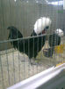 54455109_PNAJKDQ2
