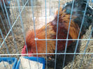 32009574_EVBNPHOPZ