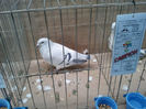 32009689_EAZENYYCM