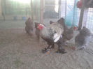 94430852_CWEBTWX