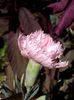 IMG_20140719_153138