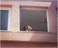 tumblr_n8ytmiHMKb1r81g3ao3_1280