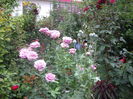 IMGP7156