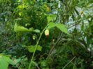 DSCN8085