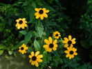 DSCN8096