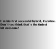 Tyler Lockwood said it ;