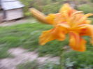 P1220836