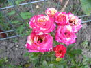 P1220873