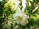 P1220902