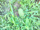 P_20140721_184834