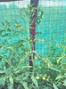 P_20140721_185211