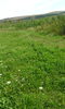 IMG_20140721_160315