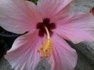 20140720_205428