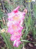 IMG_20140718_193041