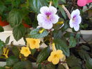 DSCN0391