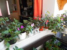DSCN0356