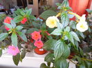 DSCN0414[1]
