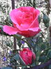 IMG_20140722_155310