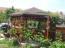 DSCF5278