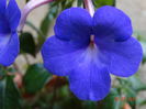DSC05960