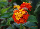 DSC05855