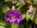 DSCN8244