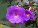 DSCN8266