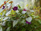 DSCN9357