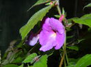 DSCN9622