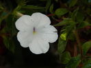 DSCN9629