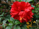 DSC05802