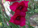 DSC06018