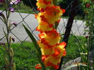 DSC05873