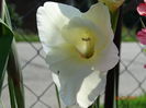 DSC05879
