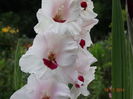 DSC05897