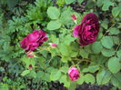 DSC00651