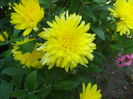 DSCF1450