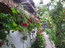 DSCF1465