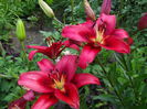 DSCF1467
