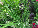 DSCF1471