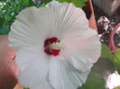 DSCF2001